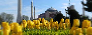 Hingga saat ini turki sudah menanam hampir 100 juta tulip yang tersebar di taman istanbul, di festival tulip di india diadakan pada musim bunga tulip mekar penuh yaitu pada bulan april. Paket Tour Murah Turki Tulip 2021 Sentosa Wisata