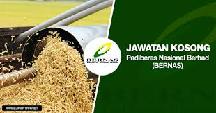 The companyâ€™s businesses include paddy procurement and rice processing, rice importation and rice distribution, national stockpile management, seed and farming. Jawatan Kosong Di Padiberas Nasional Berhad Bernas 14 Februari 2020 Jawatan Kosong Kerajaan Swasta Terkini Malaysia 2021 2022