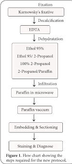 Figure 1 From Microwave Accelerated Processing Of Coral