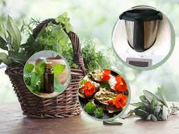 Bienenwachs ,kakaubutter,lanolin zusammen mit dem lauszug erwrmen und auflsen.das wasser ebenfalls erwrmen und savesave heilsalben herstellen for later. Heilrezepte Aus Dem Thermomix 10 Ideen Fur Die Gesundheit Bildderfrau De