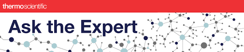 Detect gold, silver, coins or valuable relics. Ask The Expert Webinar Concepts For Application Of New Instrument And Software Features For The Transfer Of Ep And Usp Methods In Hplc