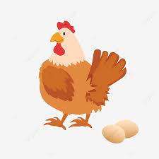 Kumpulan gambar mewarnai ayam ayam adalah sejenis unggal yang pada umumnya dipelihara kemudian buatlah sketsa kasar bentuk tubuh ayam betina seperti pada contoh gambar 1 di bawah ini. Gambar Ayam Asli Ayam Ayam Betina Tua Ayam Clipart Ayam Asli Ayam Png Transparan Clipart Dan File Psd Untuk Unduh Gratis