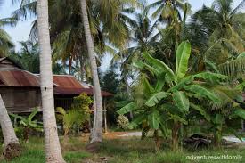 Tempat aku gi ialah dorani bayu resort d'muara marine park di daerah sungai besar. Kampung Dorani Malaysian Homestay Adventures With Family