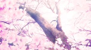 Perfect for apartments, dorms, and more. Pin By M E L I A On Flower Pink Cherry Blossoms Sakura Place Aesthetic Anime Anime Background Anime Scenery