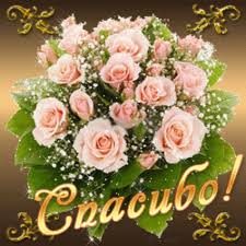 благодарность родителям за жизнь в день рождения в прозе Https Encrypted Tbn0 Gstatic Com Images Q Tbn 3aand9gcqkthyjcm1titx1itucozp Yncjupcloodg8w Usqp Cau