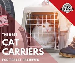 At its most basic a cat carrier is a clever do you have a large or heavy cat? The Ultimate Guide To The Best Cat Carrier For Travel Cheeseweb