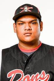 Baseball All-Area: South Hills' Brandon Dieter and coach Darren Murphy earn  top honors