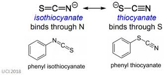 Because oxalate is a bidentate ligand, this complex has a coordination number of six. Ambidentate Ligands Facts Summary Definition Chemistry Revision