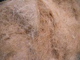 Coir Wikipedia Coir Coconut Fiber Peat Moss