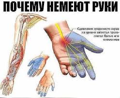 почему немеют конечности рук и ног во время сна Fotografiya Zdorove Medicina Akupressura