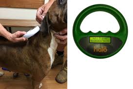 Microchipping A Legal Requirement Casey Cranbourne Veterinary Hospital Cranbourne Vets Vets South East Melbourne