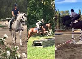 Profile for LMM Equestrian