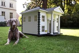 It will help keep moisture and water out and help insulate the cold floor. Luxury Barkitecture 10 Amazing Dog House Designs For The Over Pampered Pup