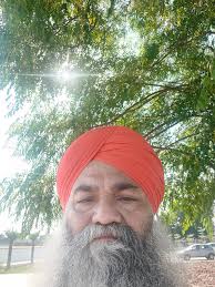 Visit to see swans and copper beech tree in North Plymouth