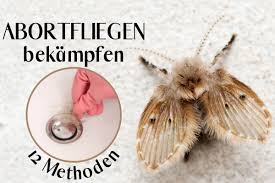 Um den schimmelbefall zu beseitigen, hilft eigentlich nur lieber öfter mal kleine mengen wasser zugeben, als den topf vollständig unter wasser zu setzen. Kleine Fliegen Im Blumentopf Wer Ist Es 5 Wirksame Hausmittel Gartenlexikon De