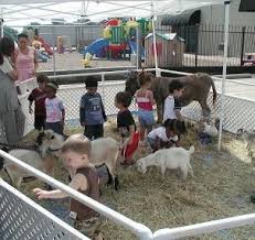 Petting Zoo Rental For The House Petting Zoo Rental Zoo Animals Wildlife Park