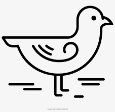Some seagull coloring may be available for free. Seagull Coloring Page Drawing 1000x1000 Png Download Pngkit