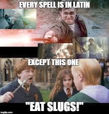 Prevents people above or below a certain age from access to a target. Pin On Harry Potter Memes Hilarious