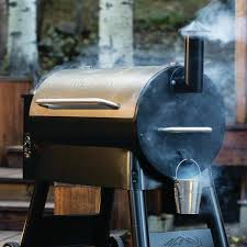 The Best 5 Traeger Pellet Grill Smoker For 2020
