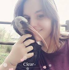 An Italian 'fugitive' in Malta: The incredible story of Iris, the  hand-reared Bald Ibis from Udine