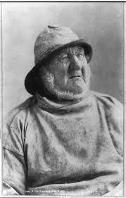 Bureau Of Trade Fotos Rosto Lobo Do Mar