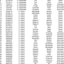 Pdf Agromorphological Characterization Of Gbolo Crassocephalum Crepidioides Benth S Moore And C Rubens Juss Jacq S Moore An Aromatic Herb Consumed As Leafy Vegetable In Benin