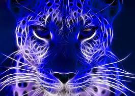 Lihat ide lainnya tentang gambar, fotografi, ikan cupang. Neon Animals Wallpapers Top Free Neon Animals Backgrounds Wallpaperaccess