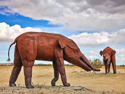 At about 6 a.m, the forest officials received information from the villagers. Images Of The American West Prehistoric Elephant Prehistoric Elephant American West