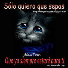 Sadcat Rh49jo4h Gif 850 850 Siempre Estare Para Ti Te Extrano Imagenes De Amor Fotos A la madrugada desperte y. imagenes de amor