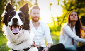 A+ pets & plants, llc provides augusta, evans, and grovetown ga with professional pet sitting and dog walking services. Augusta Ga Townhomes Near Martinez 220 West Townhomes