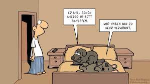 Mejores tableros de alex fernandez. Fernandez Cartoon Zeigt Im Bett Liegende Hunde Miguel Fernandez Im Bett Liegen Deutsche Schlafen