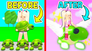 Websites that advertise free adopt me promo codes do not work. Turtle Adopt Me Wiki