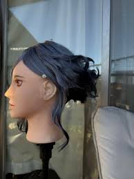 ひよこ豆様専用 FGO巌窟王モンテ・クリスト伯 コスプレウィッグオーダー