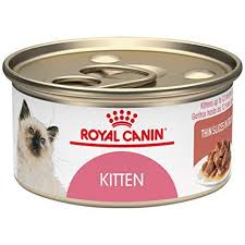 What is your favorite wet cat food? 10 Best Cat Foods Wet And Dry Cat Food