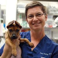 Mandy Tisdale Email & Phone Number