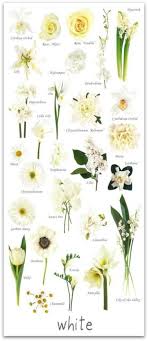 Wedding Flowers June Beautiful 55 New Ideas Wedding Flower Types Flower Names Types Of Flowers