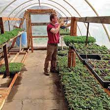 Urban Backyard Farming For Profit Mother Earth News Backyard Farming Urban Backyard Urban Farming