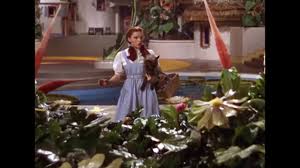 Harry wilson, the new principal of west beverly hills high school, returns to his childhood home, beverly hills, calif., with his wife debbie, daughter annie and adopted son dixon, to care for his mother tabitha wilson, a former tv star. The Wizard Of Oz By Victor Fleming 1939 Toto I Ve Got A Feeling We Re Not In Kansas Anymore Youtube