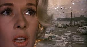 Why “The Birds” is a Film for Our Time