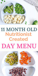 11 Month Old Meal Plan Nutritionist Approved Creative Nourish In 2020 Lunch Recipes Healthy Healthy Homemade Recipes Healthy Breakfast Recipes