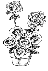 Flowers Clip Art Free Geraniums Flower Coloring Pages Digital Flowers
