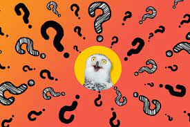 Read on for some hilarious trivia questions that will make your brain and your funny bone work overtime. Quizzes