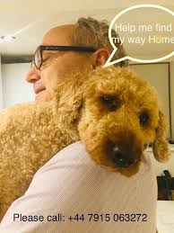 Helen ramsden (@ramsden_helen)