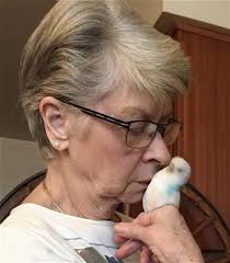 Gloria Ann (née Eitel) KROPF Obituary