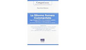 92 del 28 giugno 2012. La Riforma Fornero Commentata Amazon De Rocchina Staiano Bucher