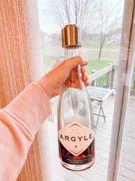 How To Store Champagne When Opened And Enjoy A Bottle Of Bubbly Guilt Free  | Bubbly Side Of Life