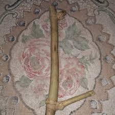 We did not find results for: Jual Bambu Petuk Tumpang Sari Bukalapak Com Cek Harga Di Pricearea Com