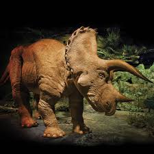 20 Foot Animatronic Triceratops Only 350 000 Bargain