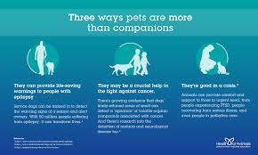 If certain symptoms occur or persist, however, a doctor should be seen for further evaluation. Healthforanimals On Twitter Did You Know That Dogs Can Detect Cancer Or Detect The Signs Of An Upcoming Epileptic Seizure Pets Are More Than Just Companions They Provide Essential Help For Countless