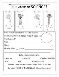 Check spelling or type a new query. Is It Magic Or Science Plant Experiment Plant Science Plant Experiments Kindergarten Science Experiments